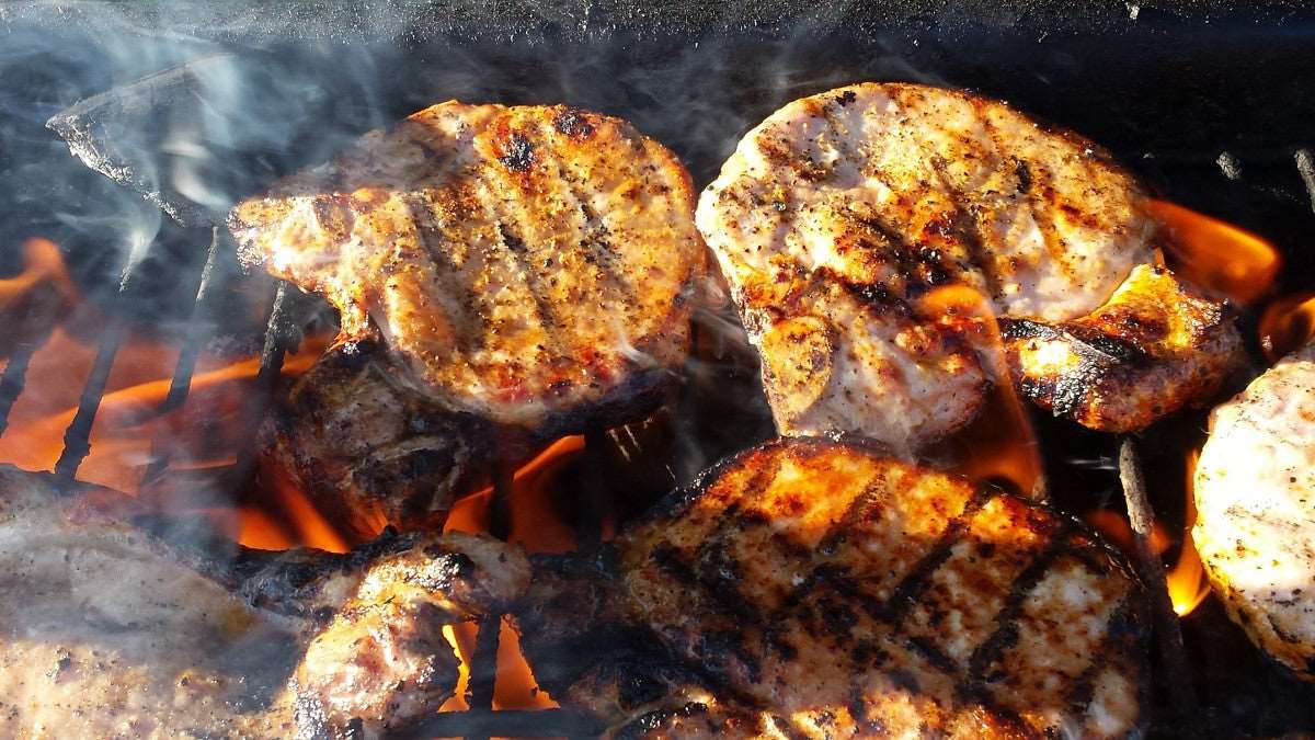 Apple Grilling Chips